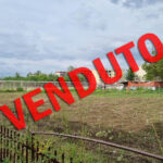 1798496_202305181508503733217m