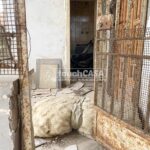 WhatsApp Image 2024-06-24 at 17.32.22 (4)