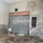 WhatsApp Image 2024-06-24 at 17.32.23 (3)