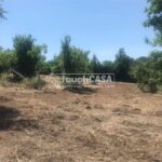 WhatsApp Image 2024-10-24 at 9.51.08 AM