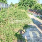 WhatsApp Image 2024-10-24 at 9.51.40 AM