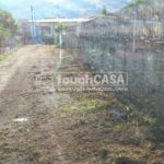 WhatsApp Image 2024-10-24 at 9.51.41 AM