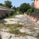 WhatsApp Image 2024-10-29 at 3.34.56 PM (3)