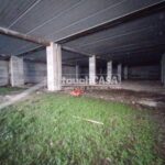 a8ac5477-244a-4693-87c1-1b70ca6cc72c