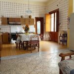 WhatsApp Image 2026-01-23 at 11.15.46