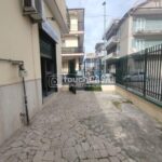 WhatsApp Image 2026-02-26 at 19.17.27