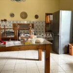 WhatsApp Image 2026-03-17 at 12.43.48 (1)