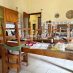 WhatsApp Image 2026-03-17 at 12.43.483