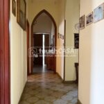 WhatsApp Image 2026-03-17 at 12.43.493