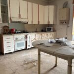 WhatsApp Image 2026-03-17 at 12.44.19 (1)1