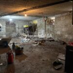 WhatsApp Image 2026-03-17 at 12.44.1913