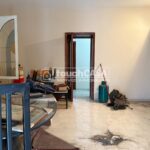 WhatsApp Image 2026-03-17 at 12.44.196