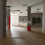 WhatsApp Image 2026-04-03 at 15.57.381